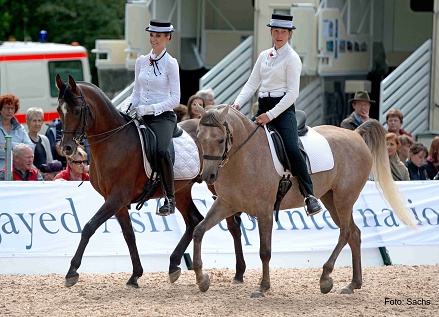 AR Shandiz and El Thay Mashrek under saddle and winners Performance & Type Trophy at HH Sherikh Mansour Asil Cup International 2014, Castell Castle, Germany. Foto: N. Sachs